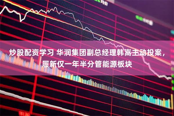 炒股配资学习 华润集团副总经理韩嵩主动投案，履新仅一年半分管能源板块